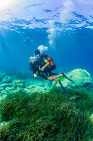 Plongée-sous-marine