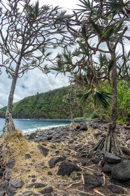 Ile de La Réunion