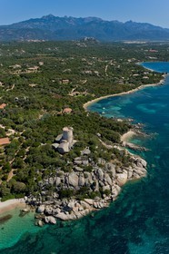 Figari