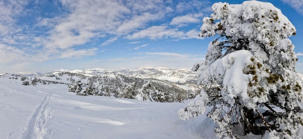 Paysage d'hiver