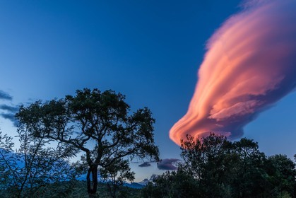 Lenticulaire
