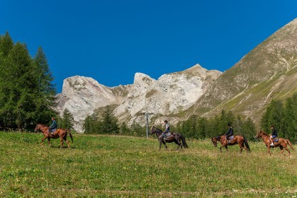 Equitation