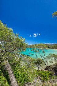 Porquerolles