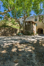 Collobrières