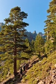 Monte Cinto