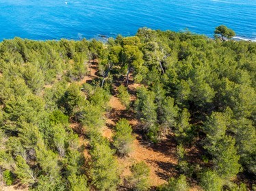 Lérins Sainte-Marguerite 2024