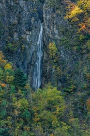 Automne