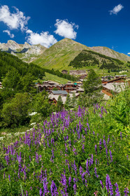 La Foux d'Allos