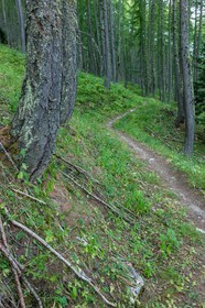 Rando Vtt Lacs de Lignin