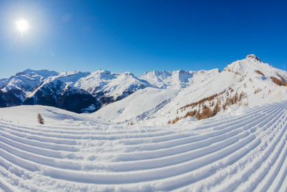 Auron