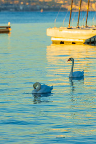Lérins Sainte Marguerite 2024