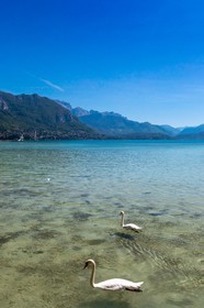 Lac d'Annecy