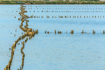 Salins d'Hyères