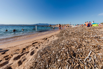 Tonnara