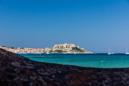 Calvi