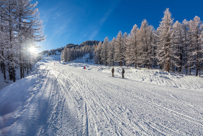 Isola 2000