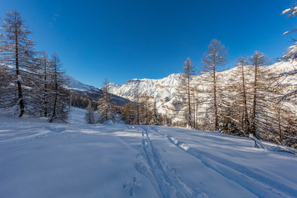 Auron