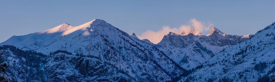 Auron