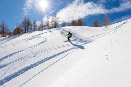 Freeride