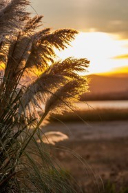 Canet-en-Roussillon