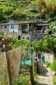 Cinque Terre