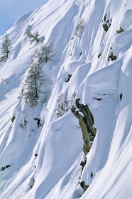 Snowboard
