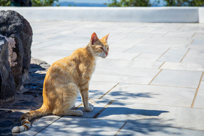 Santorin, Oia