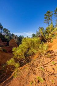 Roussillon
