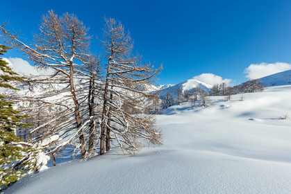 Isola 2000