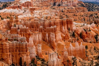 Bryce Canyon