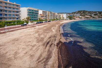 Cannes