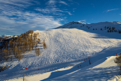 Auron