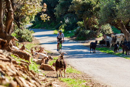 Bikingman Corsica 2019