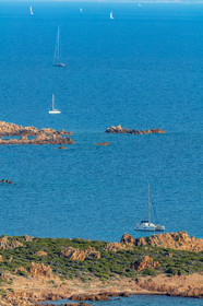 Monaccia d'Aullène