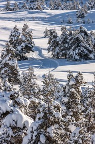 Gréolières-les-Neiges