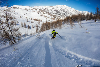 Freeride