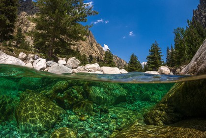 Restonica