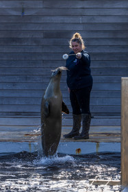 Seaquarium