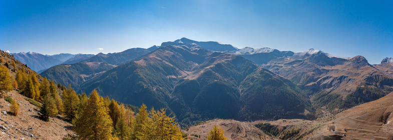 Auron