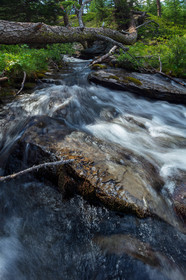 Torrent