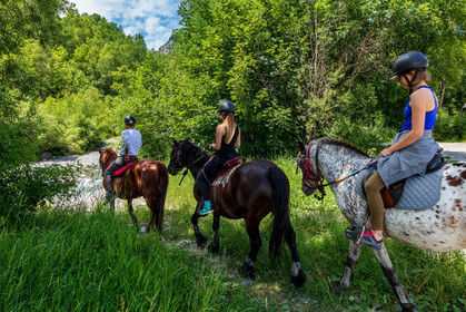 Equitation