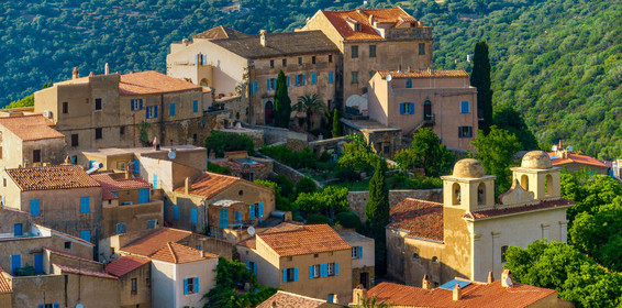 Pigna