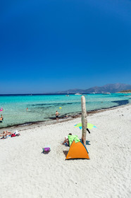 Saleccia