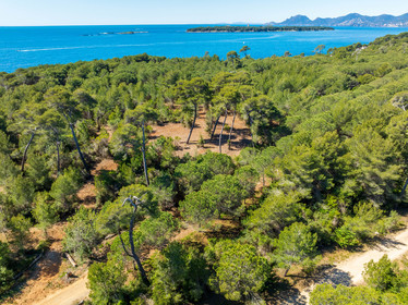 Lérins Sainte-Marguerite 2024