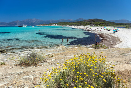 Saleccia