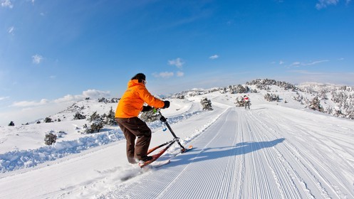 Trikke Skki