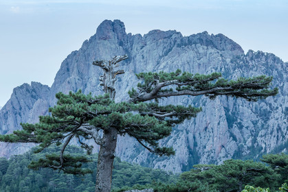 Bavella