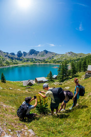 Rando Lac d'Allos