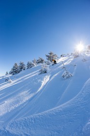 Snowboard