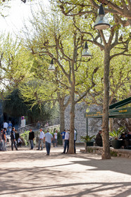 Saint-Paul-de-Vence